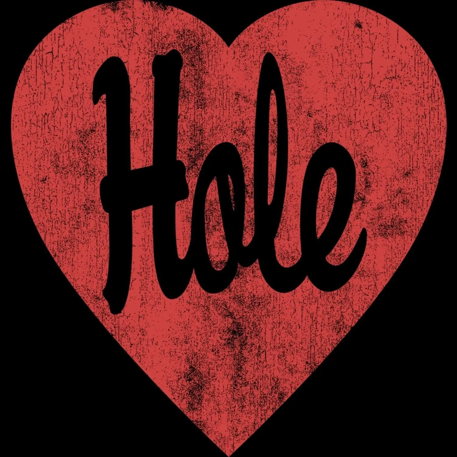 Hole Rock Band Heart Love Logo Adult Short Sleeve T-Shirt Graphic Tee